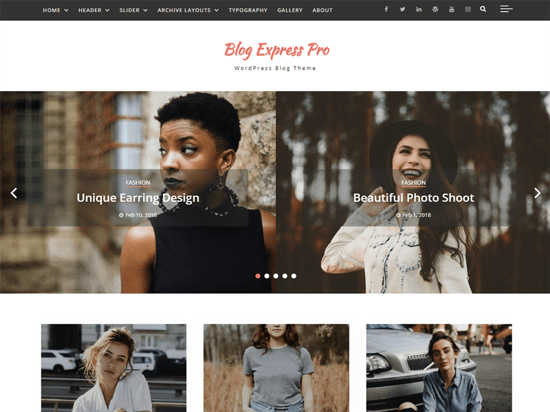 Blog Express Pro